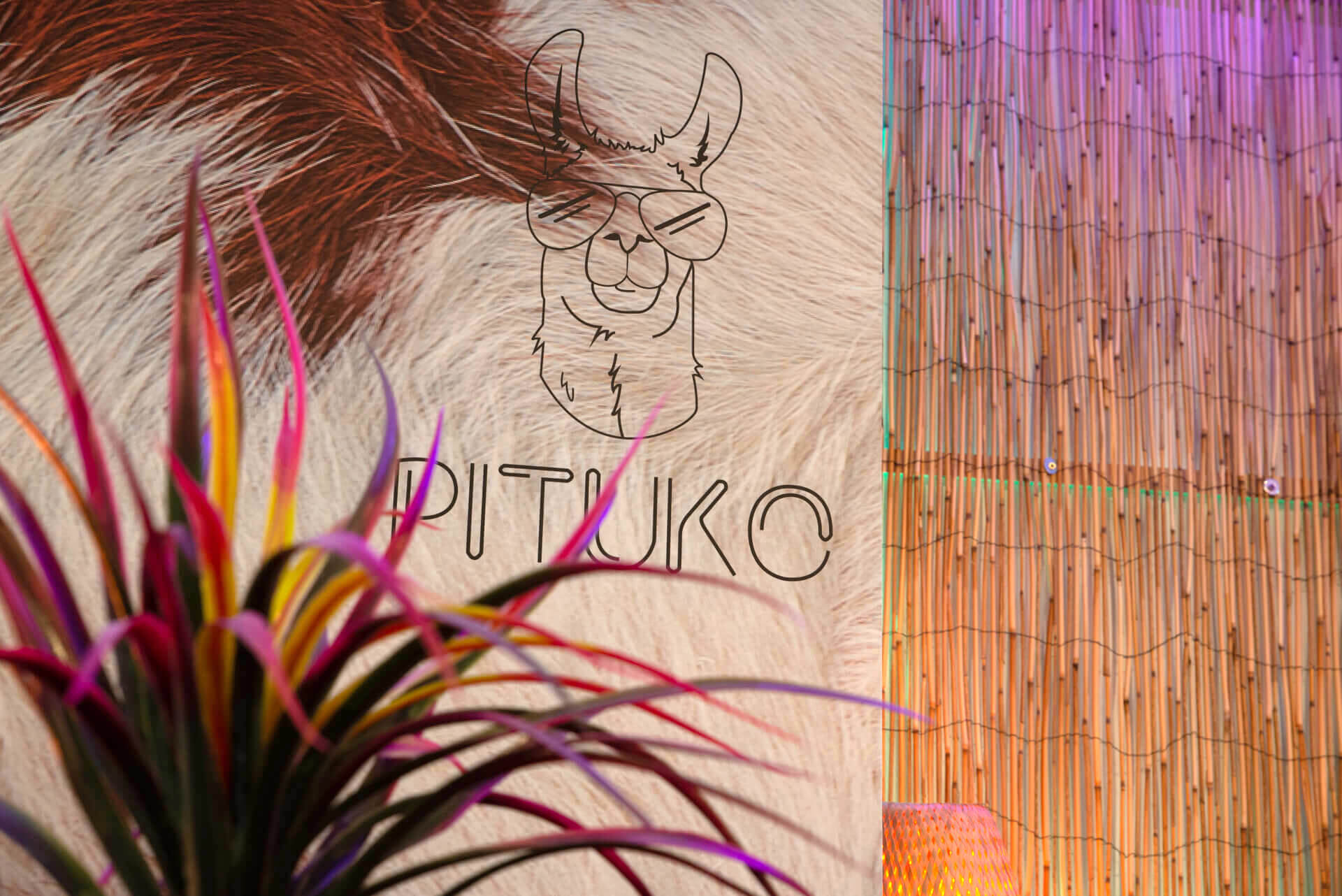 Restaurante Pituko